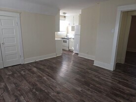 201 N Main St in Berrien Springs, MI - Building Photo