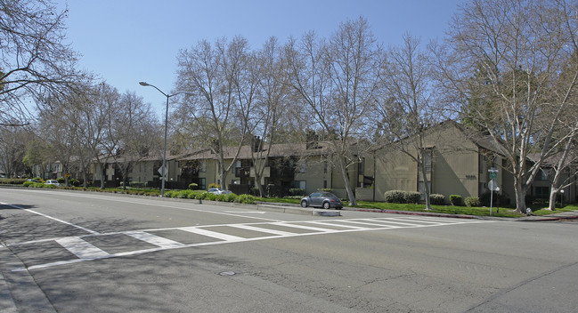 Vintner Condominiums in San Ramon, CA - Building Photo - Building Photo