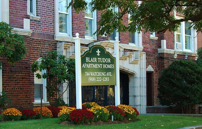 Blair Tudor in Plainfield, NJ - Building Photo - Building Photo