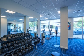 Station Square in Mansfield, MA - Foto de edificio - Interior Photo