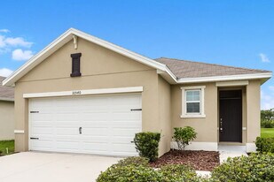 10540 Whispering Hammock Dr in Riverview, FL - Building Photo