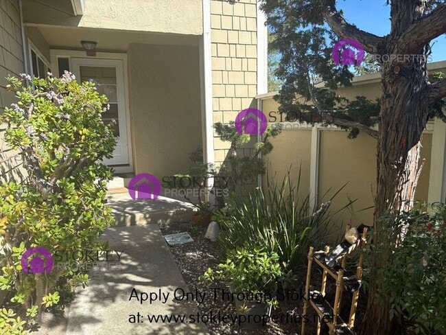 1412 Kinross Ct in Walnut Creek, CA - Building Photo - Building Photo