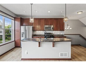 11917 Emery Village Dr N in Champlin, MN - Building Photo - Building Photo