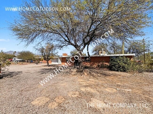 800 N Alamo Ave in Tucson, AZ - Building Photo - Building Photo
