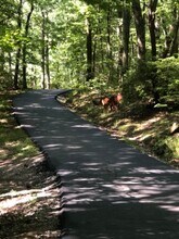 859 Lower Sassafras Pkwy in Jasper, GA - Building Photo - Building Photo