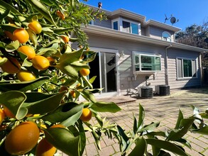 20520 Arbeleche Ln in Saratoga, CA - Building Photo - Building Photo