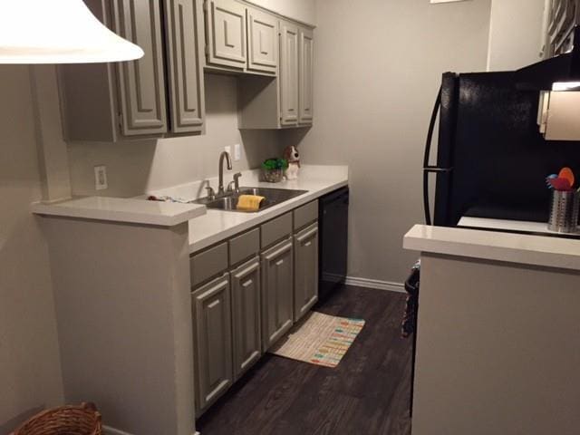 Lory of College Station