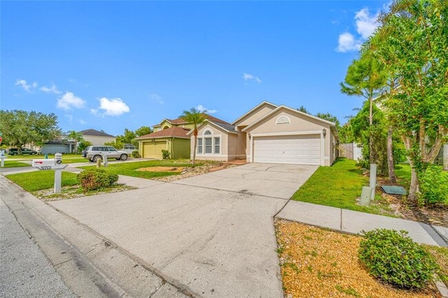 property at 31701 Shin Ct