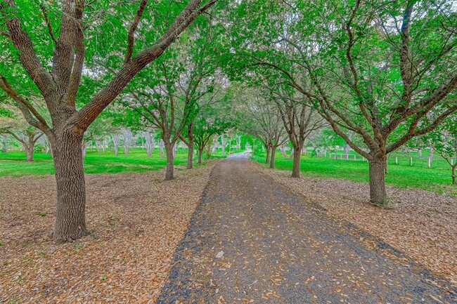 1328 Peach Ridge Rd in Brookshire, TX - Foto de edificio - Building Photo