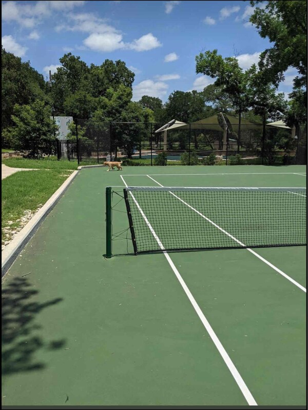 1823 1/2 Waterston Ave in Austin, TX - Building Photo - Building Photo