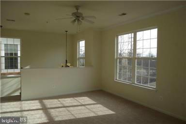 43920 Hickory Corner Terrace