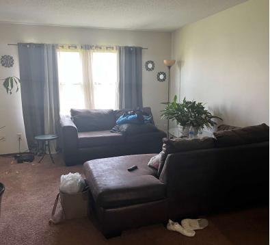 property at 4216 Foxfire Ct