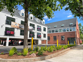 Olive & Court in New Haven, CT - Building Photo - Building Photo