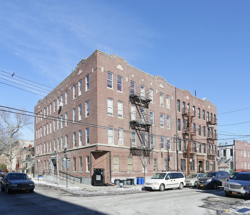 733 Dumont Ave in Brooklyn, NY - Building Photo