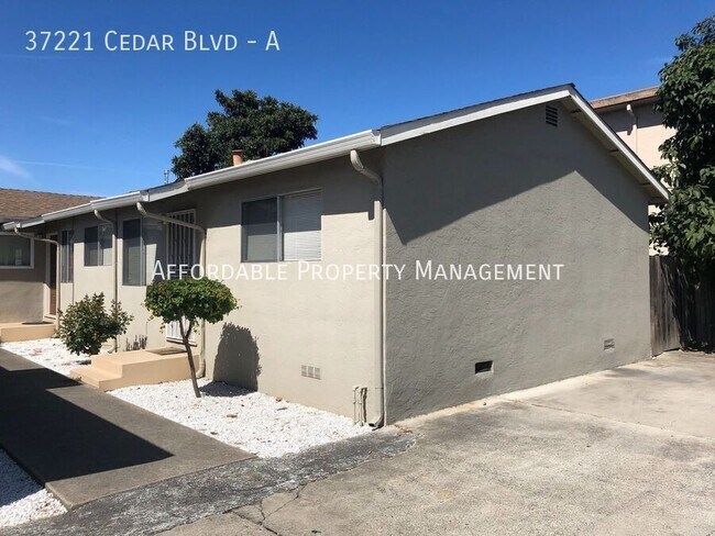 37221 Cedar Blvd in Newark, CA - Foto de edificio - Building Photo