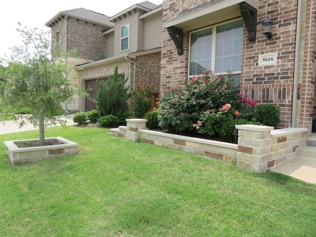 5616 Amphora Ave in McKinney, TX - Building Photo - Building Photo