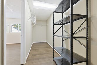 2500 Mandell St in Houston, TX - Building Photo - Building Photo