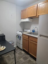 229 Harrison Ave, Unit 1 in Boston, MA - Building Photo - Building Photo