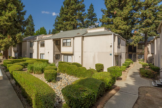 Natomas Village Apartments in Sacramento, CA - Building Photo - Building Photo