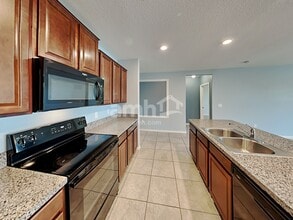 10114 Carloway Hills Dr in Wimauma, FL - Building Photo - Building Photo
