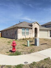 282 Texas Palmetto Cir in Kyle, TX - Building Photo - Building Photo