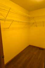 13040 Europa Trail Way N in Hugo, MN - Building Photo - Building Photo