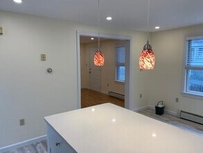 172 Charles St in Cambridge, MA - Building Photo - Building Photo