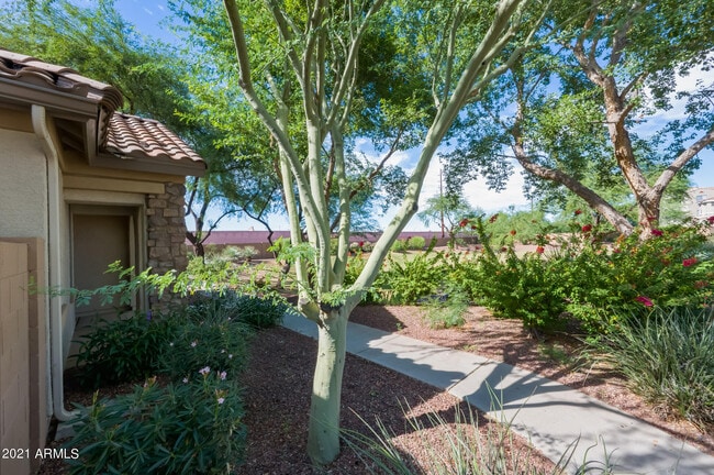 2528 S Portland Ave in Gilbert, AZ - Foto de edificio - Building Photo