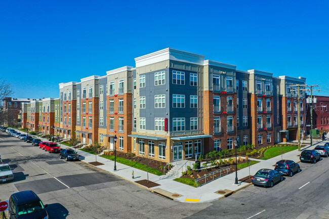 The Rosa in Richmond, VA - Building Photo - Primary Photo