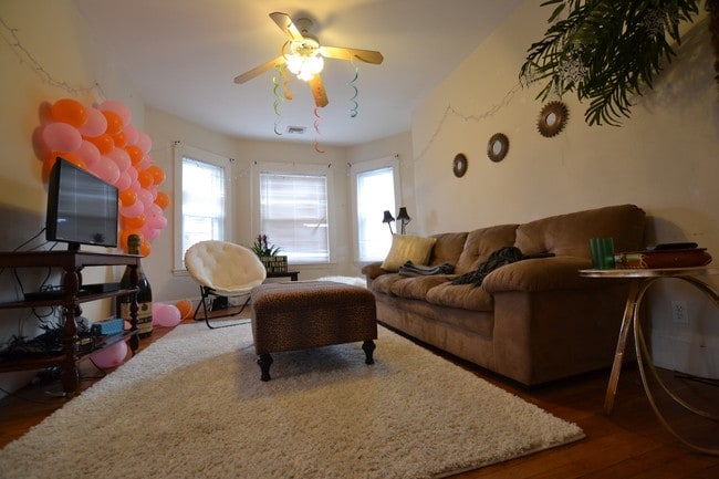 209 Chestnut Hill Ave in Boston, MA - Foto de edificio - Building Photo