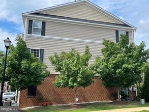 20625 Smollet Terrace in Ashburn, VA - Building Photo - Building Photo