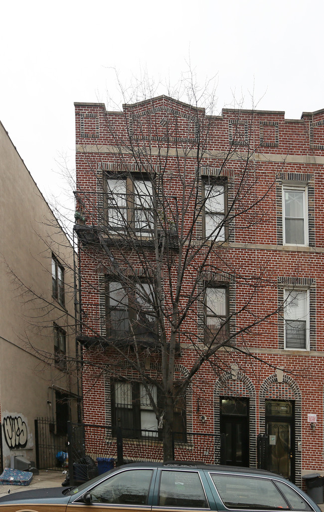 315 Schaefer St in Brooklyn, NY - Building Photo - Building Photo