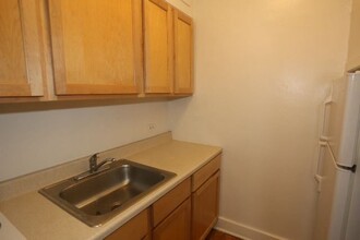 539 W Arlington in Chicago, IL - Building Photo - Building Photo