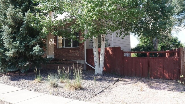 5571 Many Springs Dr in Colorado Springs, CO - Building Photo - Building Photo