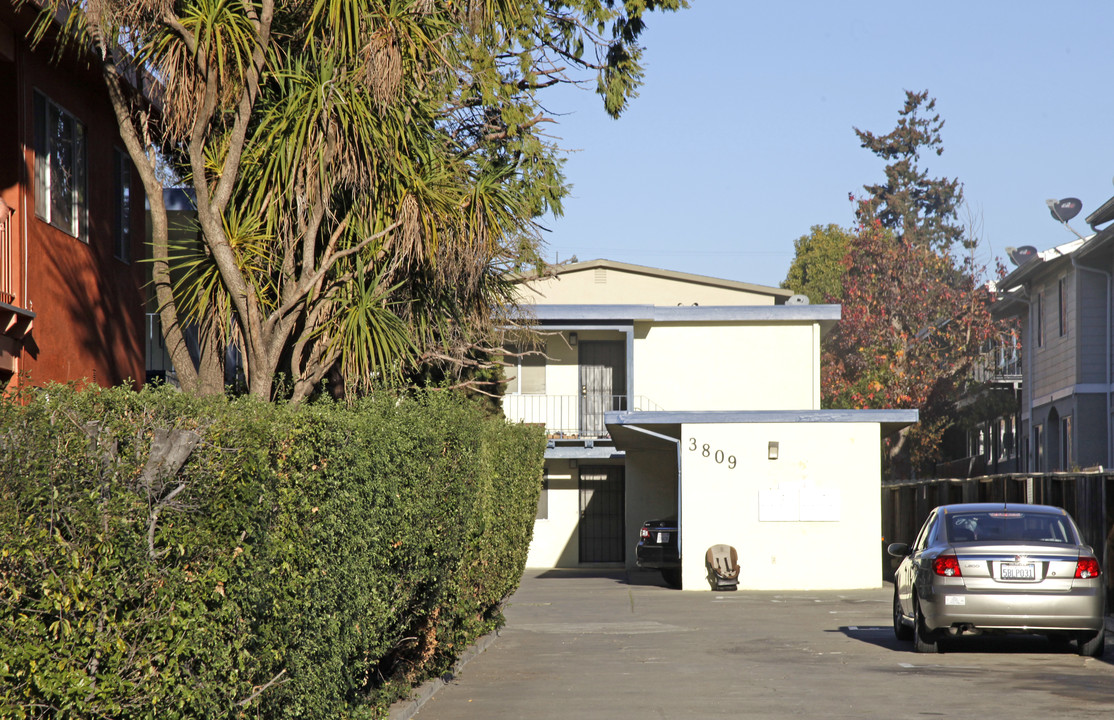 3809 Maybelle Avenue in Oakland, CA - Building Photo