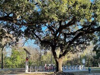 2727 Houston Ave photo'