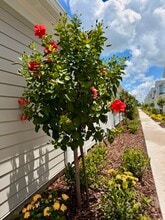 Villas at Venice in Venice, FL - Foto de edificio - Building Photo