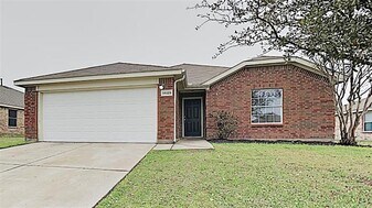 14129 Filly St in Haslet, TX - Building Photo