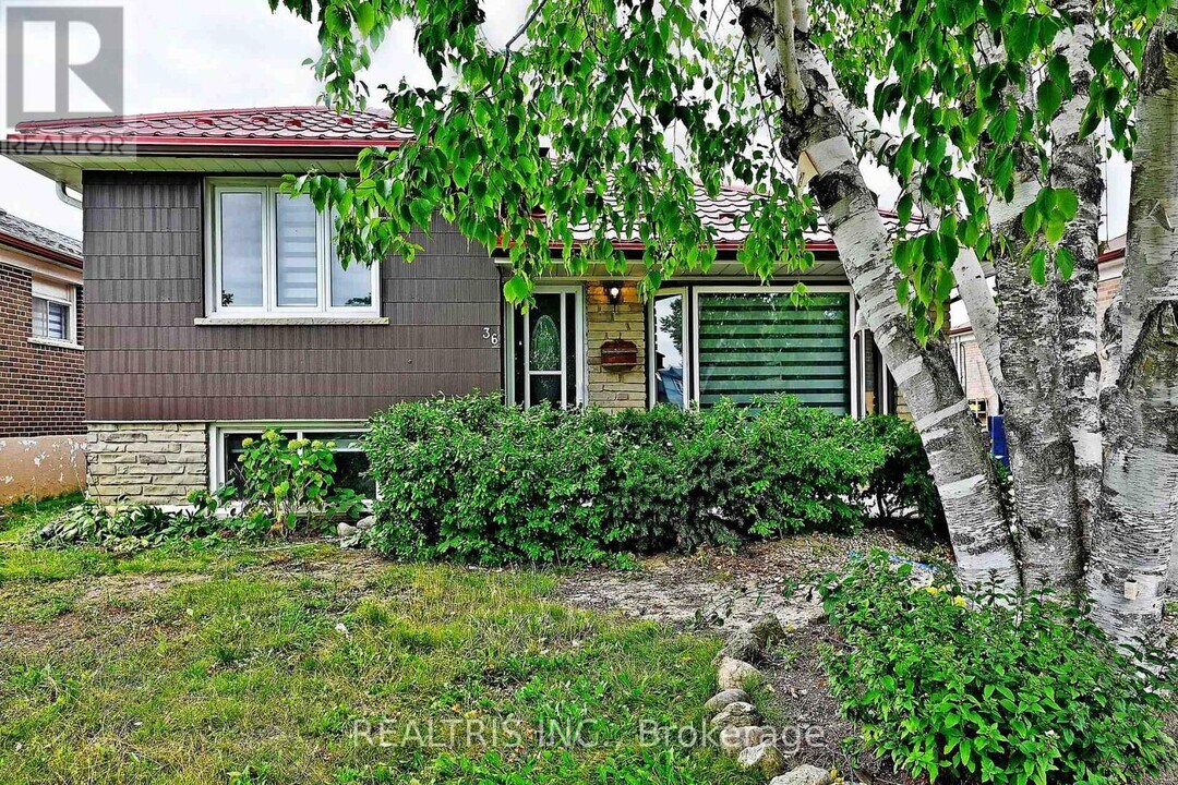 36 Tealham Dr in Toronto, ON - Building Photo