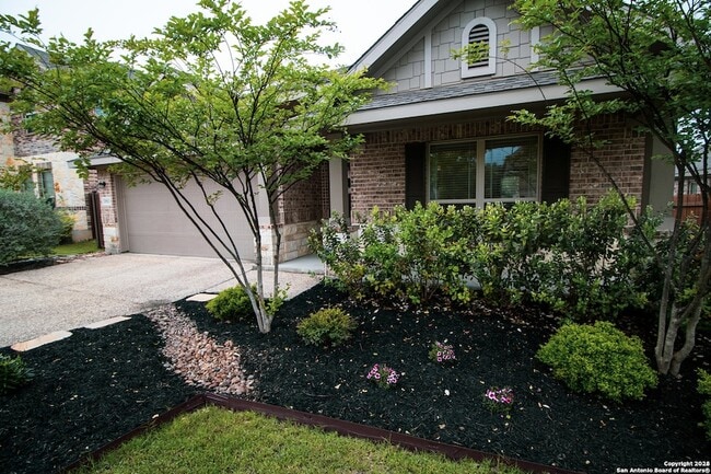 31913 Cast Iron Cv in Bulverde, TX - Building Photo - Building Photo