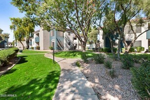 13625 S 48th St, Unit 1 in Phoenix, AZ - Building Photo