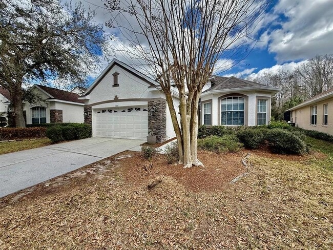 10226 Evergreen Hill Dr in Tampa, FL - Building Photo - Building Photo