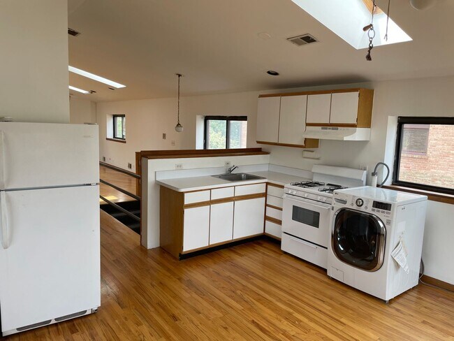 974 W Cullerton St in Chicago, IL - Building Photo - Building Photo