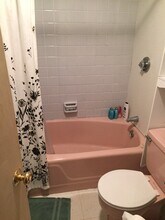 311 Tappan St, Unit 1B in Brookline, MA - Building Photo - Building Photo