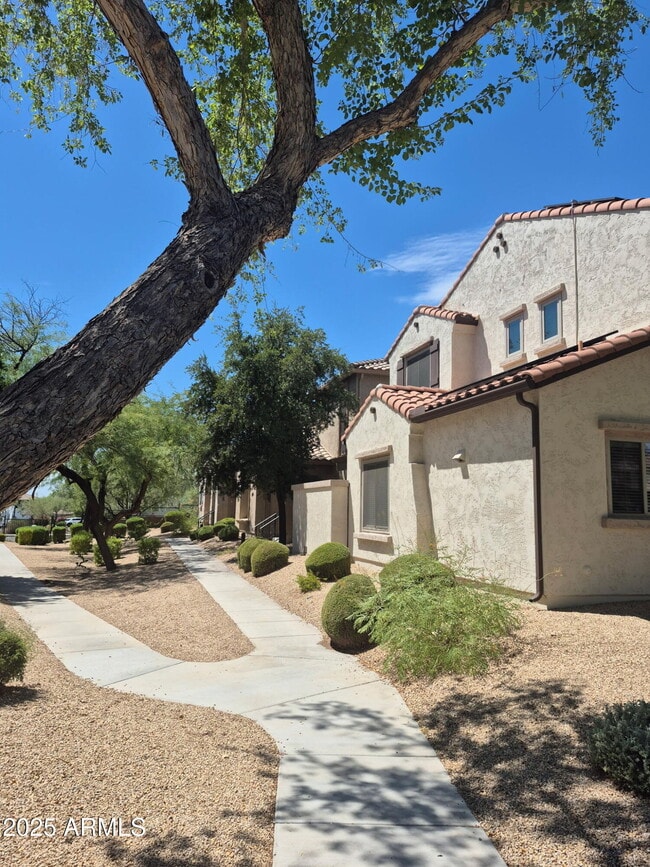 3707 W Mccauley Ct in Anthem, AZ - Building Photo - Building Photo