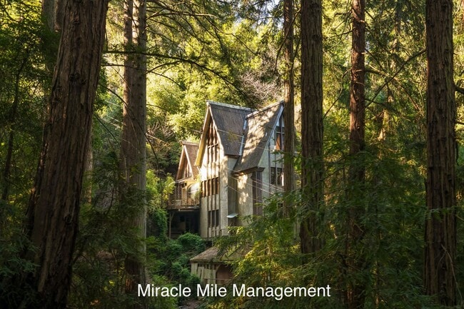 64 Castle Rock Dr in Mill Valley, CA - Building Photo - Building Photo