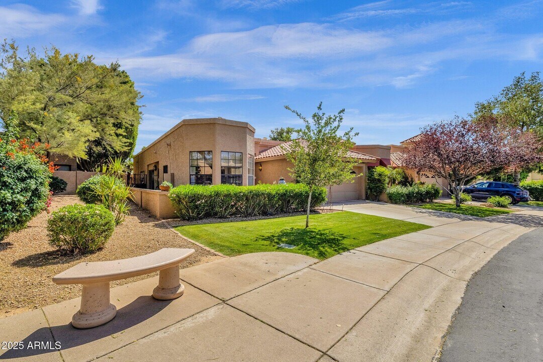 10591 E Saddlehorn Dr in Scottsdale, AZ - Building Photo