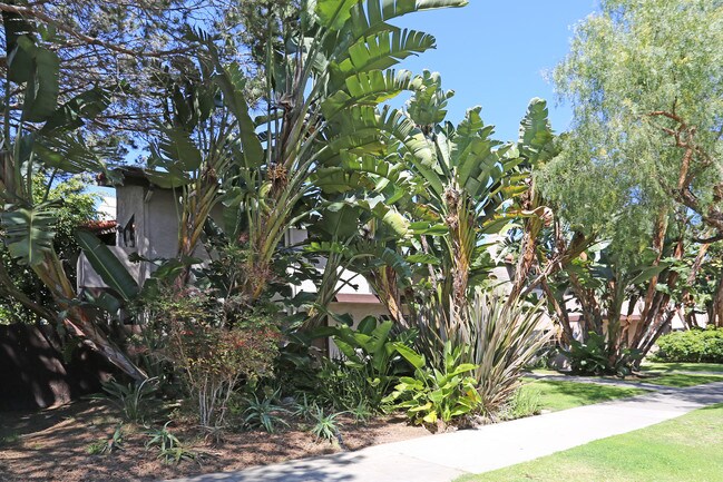 1736-1738 Hornblend St in San Diego, CA - Building Photo - Building Photo