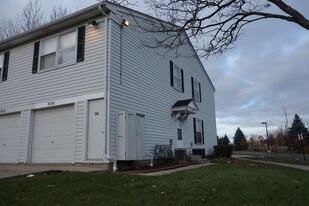 300 Meadow Ct in Vernon Hills, IL - Building Photo