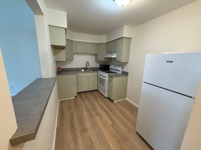 1039 College Ave in Wheaton, IL - Building Photo - Building Photo